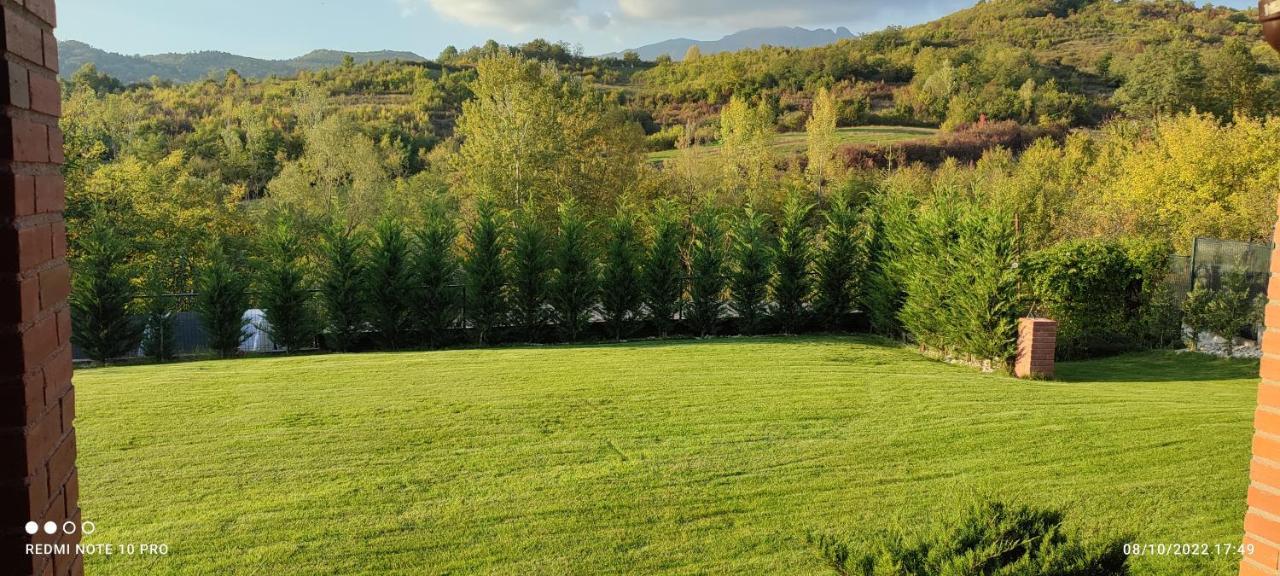 View Cozia Villa Călimăneşti Dış mekan fotoğraf