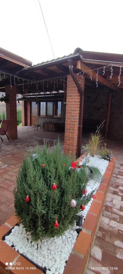 View Cozia Villa Călimăneşti Dış mekan fotoğraf