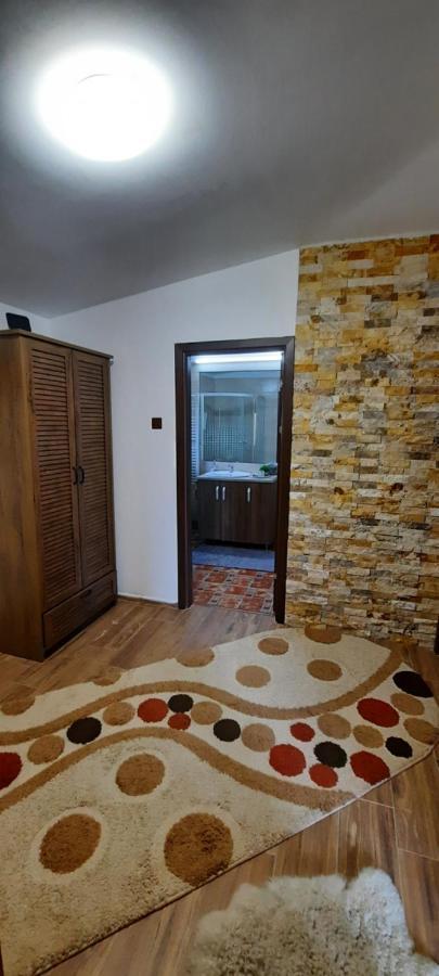 View Cozia Villa Călimăneşti Dış mekan fotoğraf
